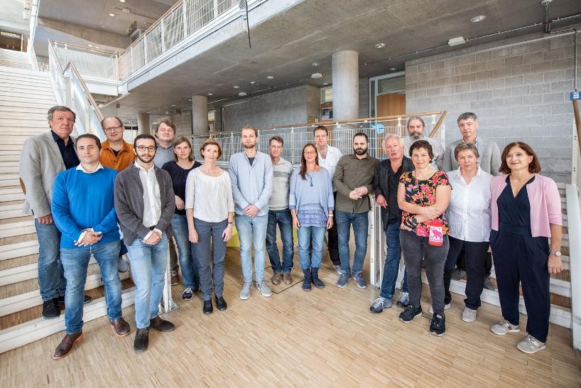 Foto des Fachbereichs Zupfinstrumente