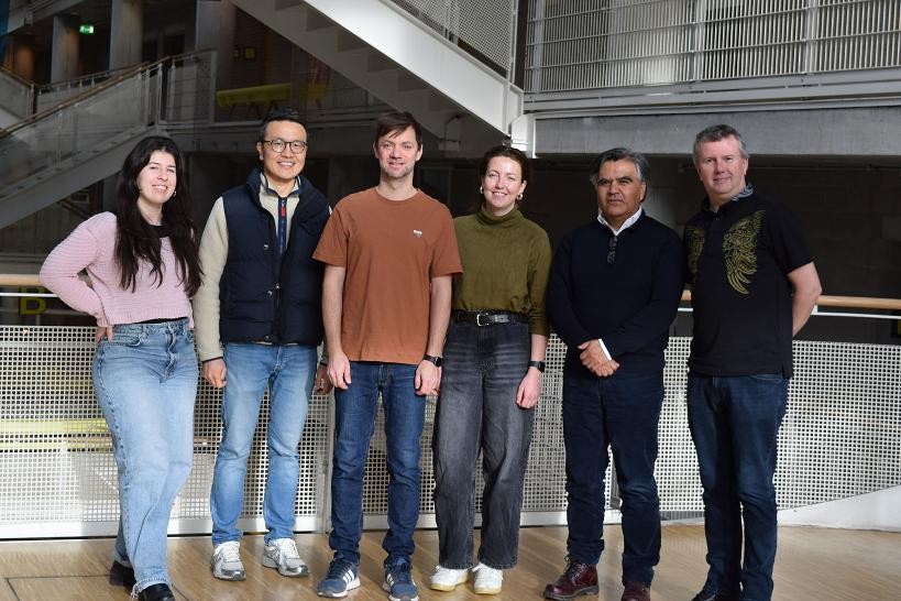 2 Musiklehrerinnen und 4 Musiklehrer stehend nebeneinander