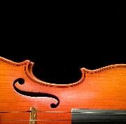 Ausschnitt Geige