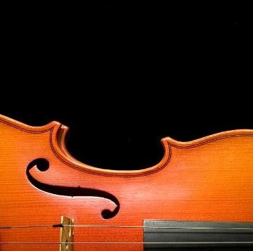 Ausschnitt Violine Ausschnitt Violine