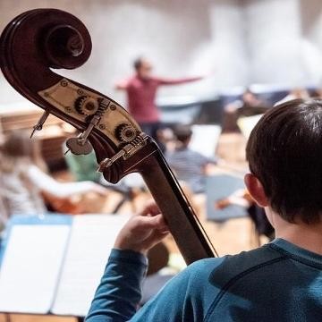 Junge spielt Kontrabass im Orchester, Ansicht von hinten Junge spielt Kontrabass im Orchester, Ansicht von hinten