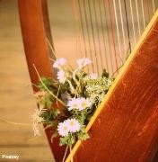 Nahaufnahme einer Harfe mit Blumen Nahaufnahme einer Harfe mit Blumen