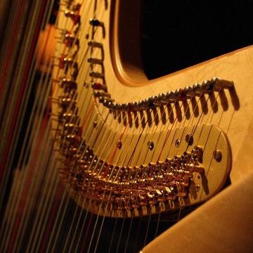 Foto: pixabay paulagarance Harfe