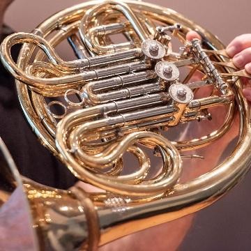 Nahaufnahme eines Horns Nahaufnahme eines Horns