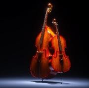 Cello & Kontrabass