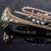 Trompete liegt auf reflektierendem Boden Trompete liegt auf reflektierendem Boden