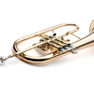 Bild einer Trompete