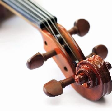 Schnecke einer Violine