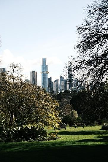 Park mit Skyline im Hinzergrund