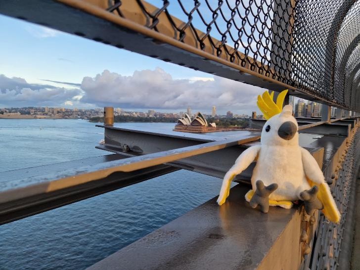 Kakaduplüschtier auf der Habour Bridge mit Opera House im Hintergrund